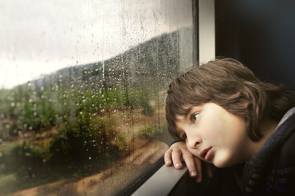 little boy, window, nature