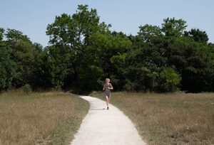 Mehr über den Artikel erfahren Bewegung und Lernen: Warum 20 Minuten Sport mehr bringen als eine Stunde am Schreibtisch